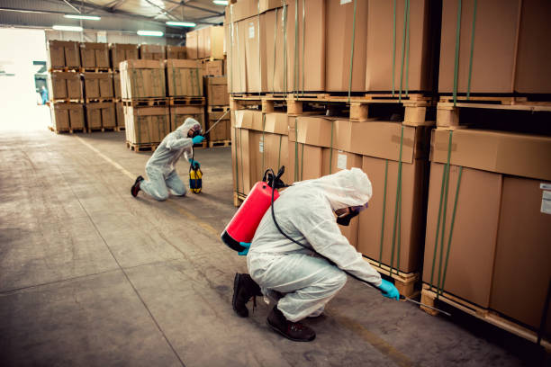 Reliable Watertown, TN Pest Control Solutions
